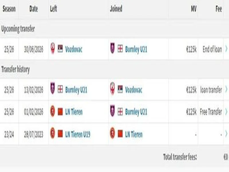 官方：18岁中国前锋张家鸣自伯恩利租借至塞尔维亚沃日多瓦茨